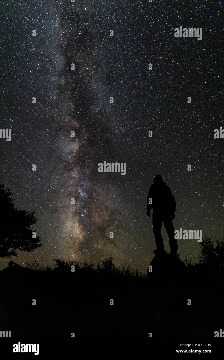 Un uomo guarda in un timore reverenziale per la Via Lattea da Steens Mountain, Oregon. Foto Stock