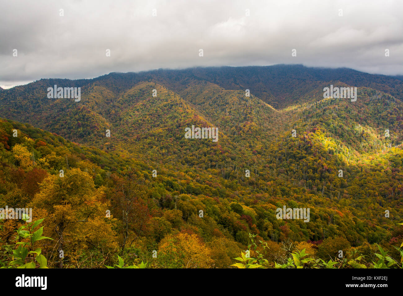 Colori autunnali delle Smoky Mountains Foto Stock