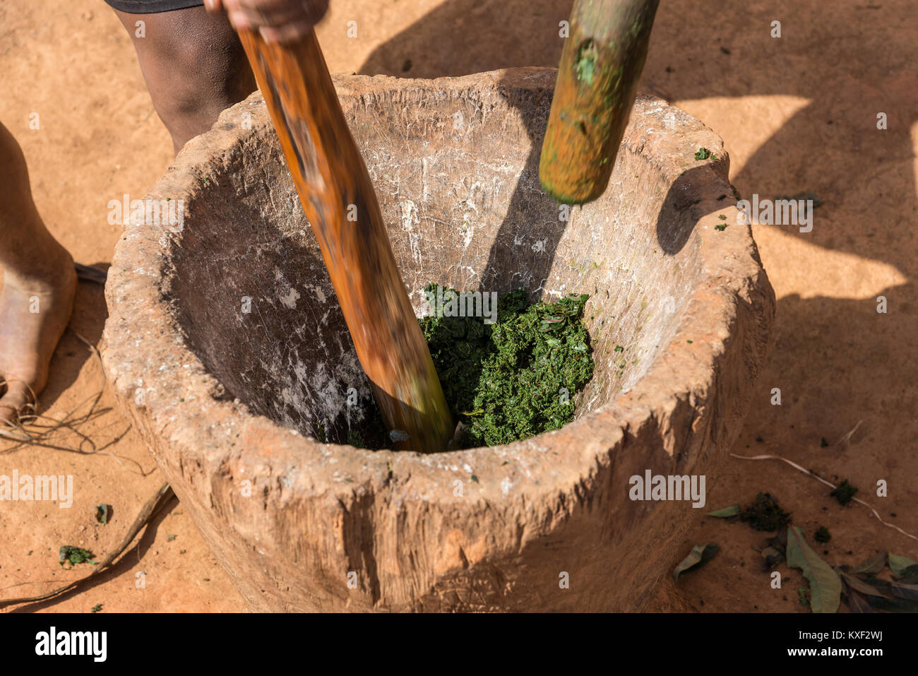 Verde foglie di manioca vengono pestate in un pestello di legno con malte e utilizzati per cucinare ravitoto, un tradizionale piatto malgascio. Madagascar, Africa. Foto Stock