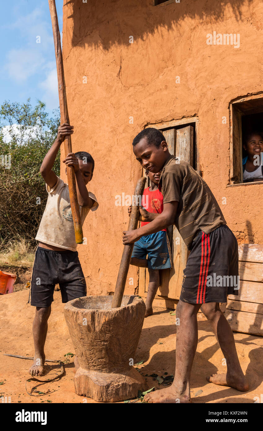 I ragazzi pounding foglie di manioca in un pestello di legno di malte, per rendere ravitoto, un tradizionale piatto malgascio. Madagascar, Africa. Foto Stock