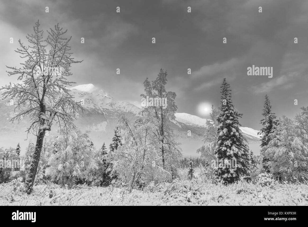 L'impostazione luna oltre il Chugach Mountains e Chugach State Park in Alaska centromeridionale. Foto Stock