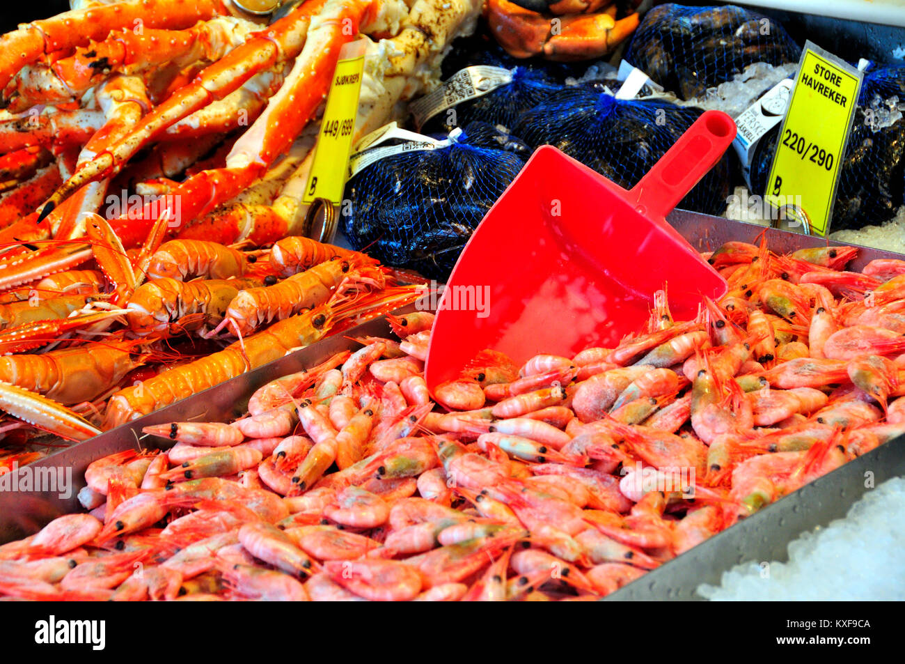 Pesce e frutti di mare presso il famoso mercato del pesce di Bergen in Norvegia Foto Stock