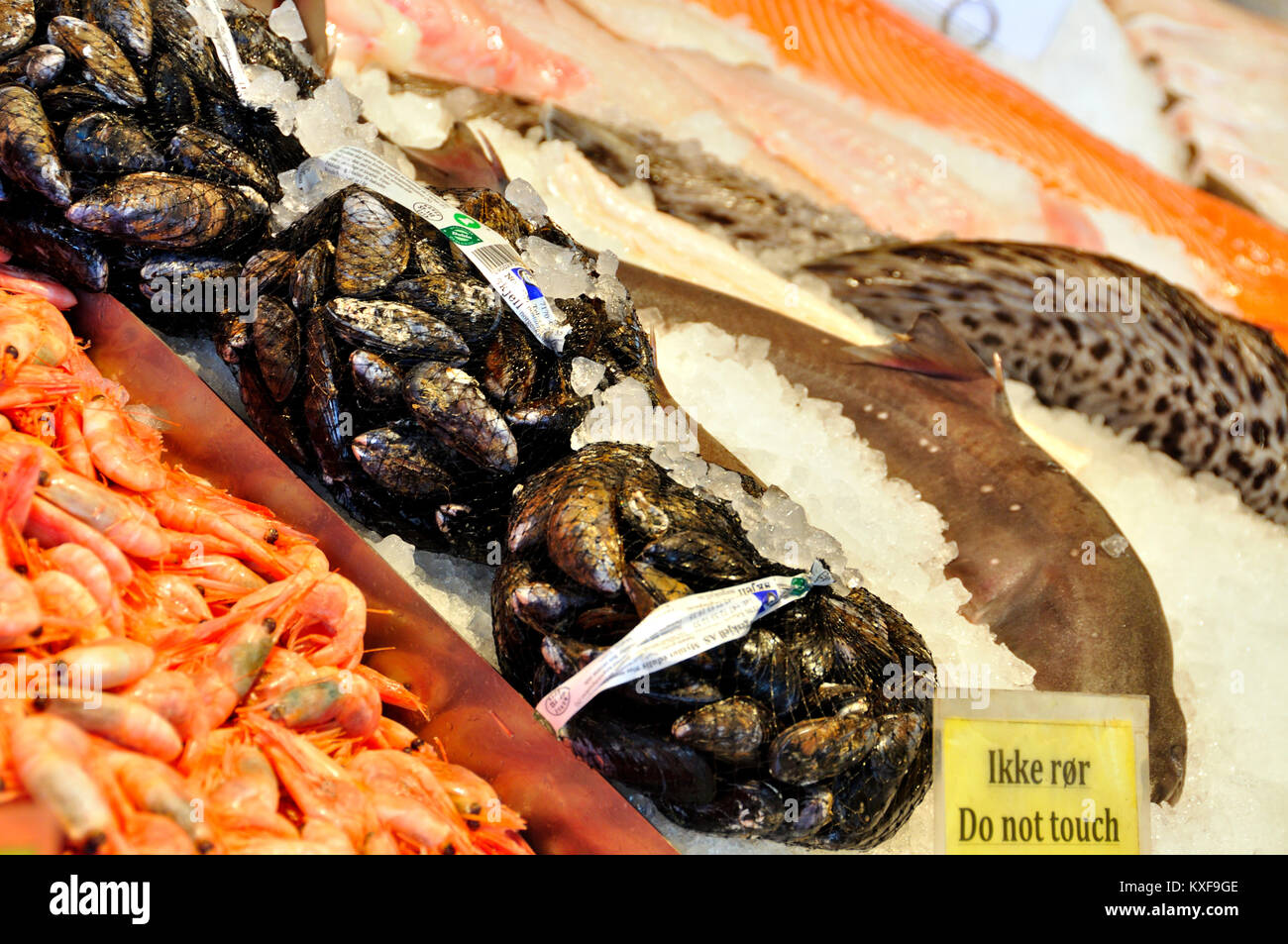 Pesce e frutti di mare presso il famoso mercato del pesce di Bergen in Norvegia Foto Stock