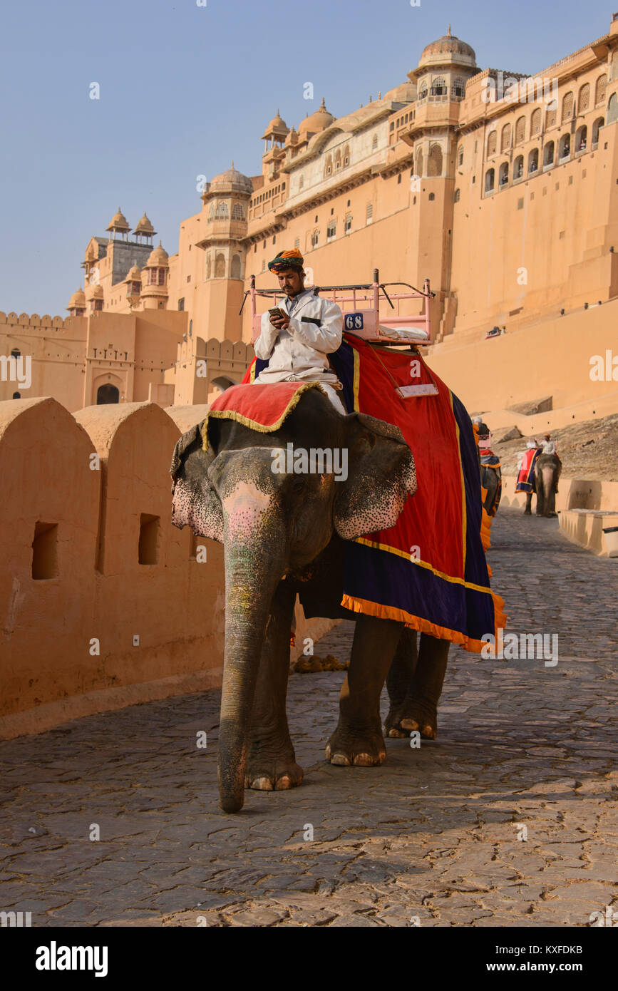 Equitazione elefante al Forte Amer, Jaipur, India Foto Stock