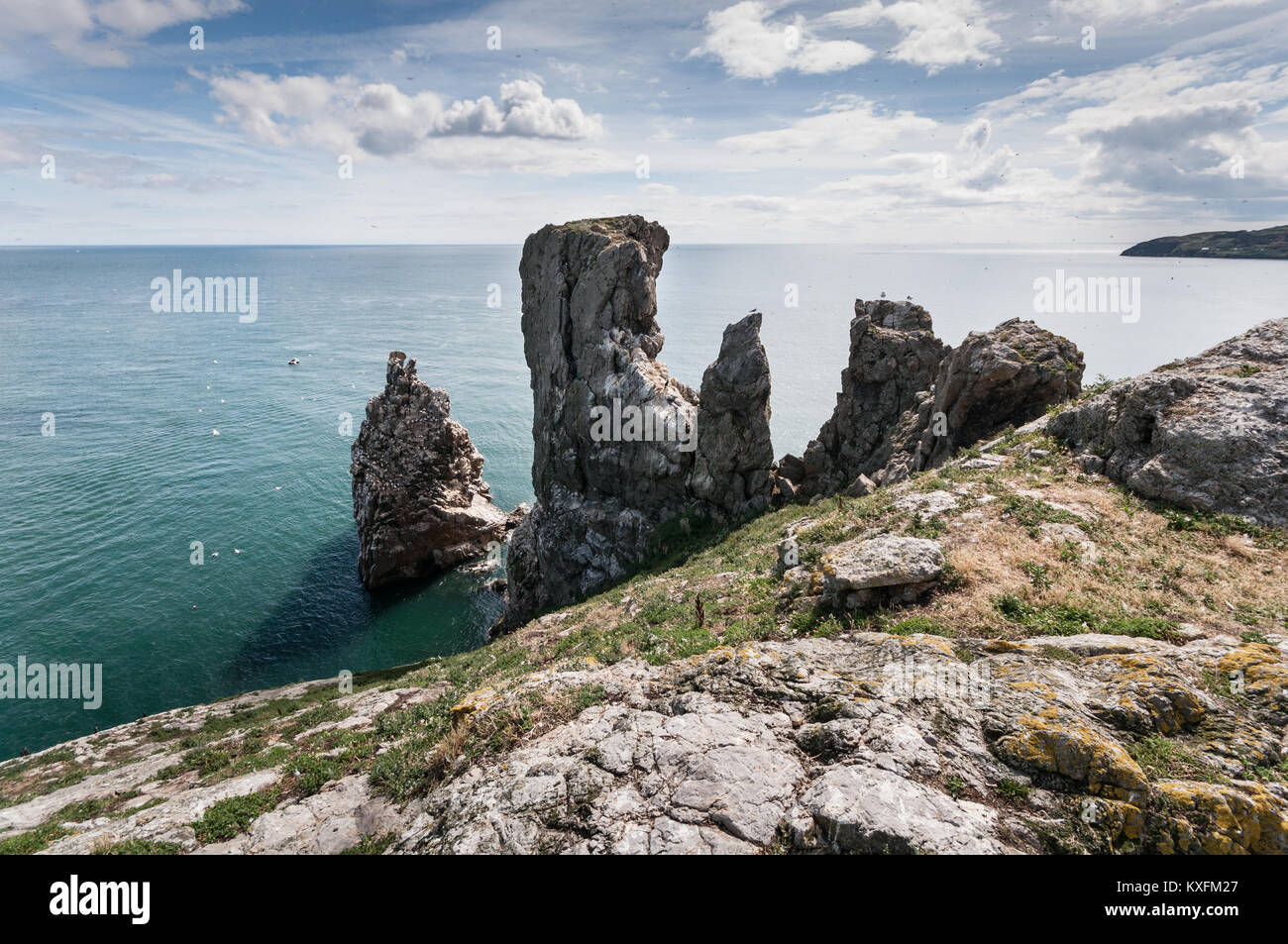 Vista della pila, casa di sule e molti altri uccelli marini, sull'isola dell'Irlanda occhio al largo di Dublino sulla costa orientale dell'Irlanda Foto Stock