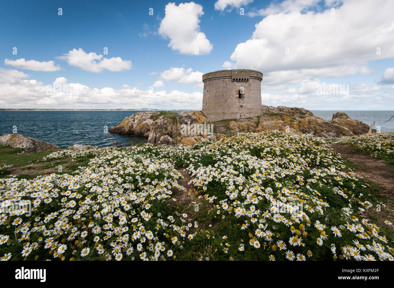 Vista del Martello Tower fon l'isola dell'Irlanda occhio al largo di Dublino sulla costa orientale dell'Irlanda Foto Stock