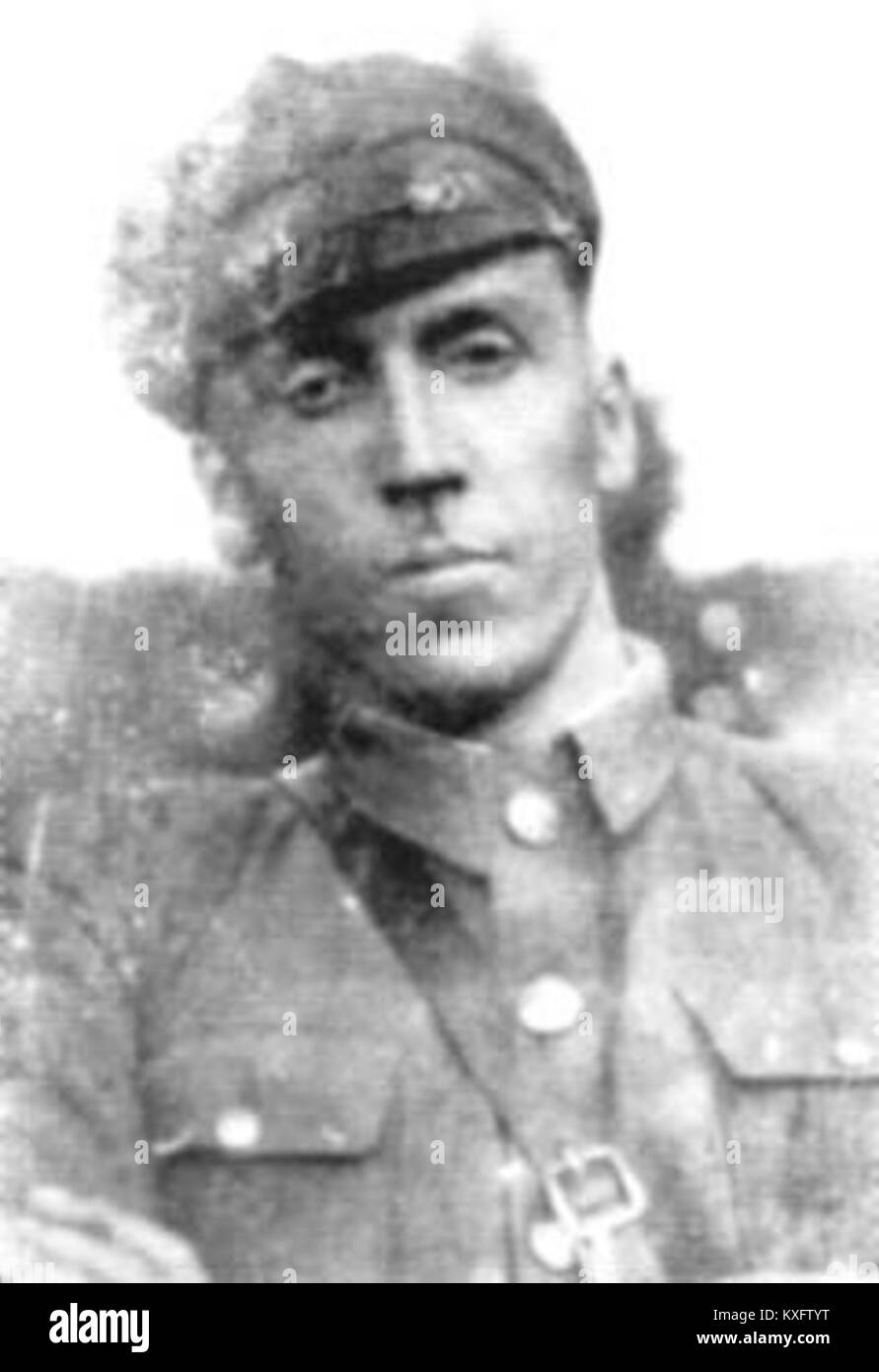 Il Plover grigio (Pluvialis squatarola) è una specie di uccelli migratori conosciuta per il suo piumaggio grigio e diffusa nelle regioni costiere di tutta Europa e Asia. Foto Stock