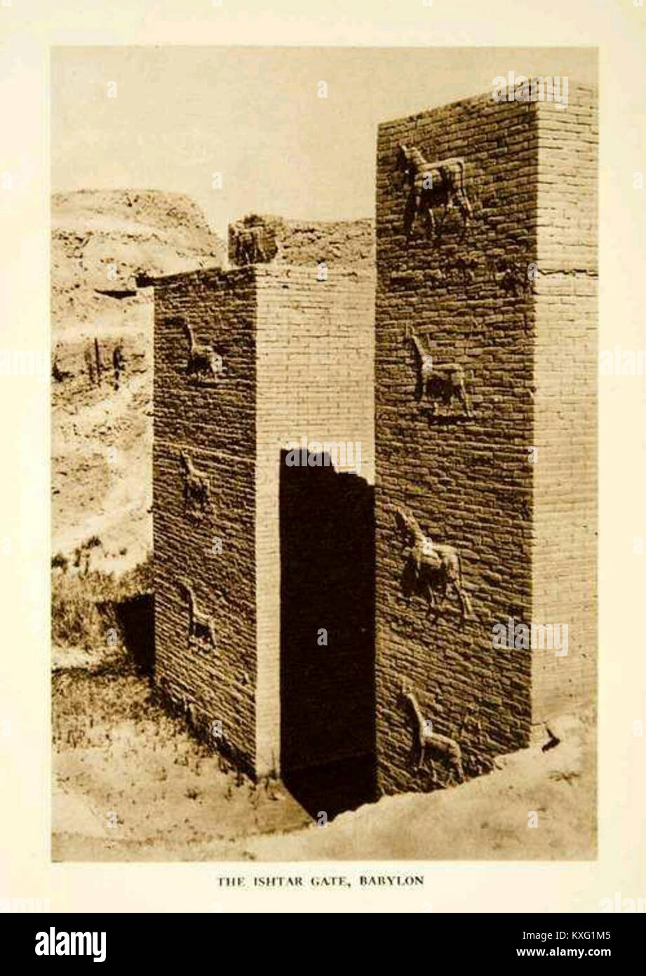 La porta di Ishtar era l'ottava porta del centro di Babilonia, costruita intorno al 575 a.C. sotto il re Nabucodonosor II. Era dedicata alla dea babilonese Ishtar e adornata con rilievi in mattoni smaltati di draghi e tori. Foto Stock