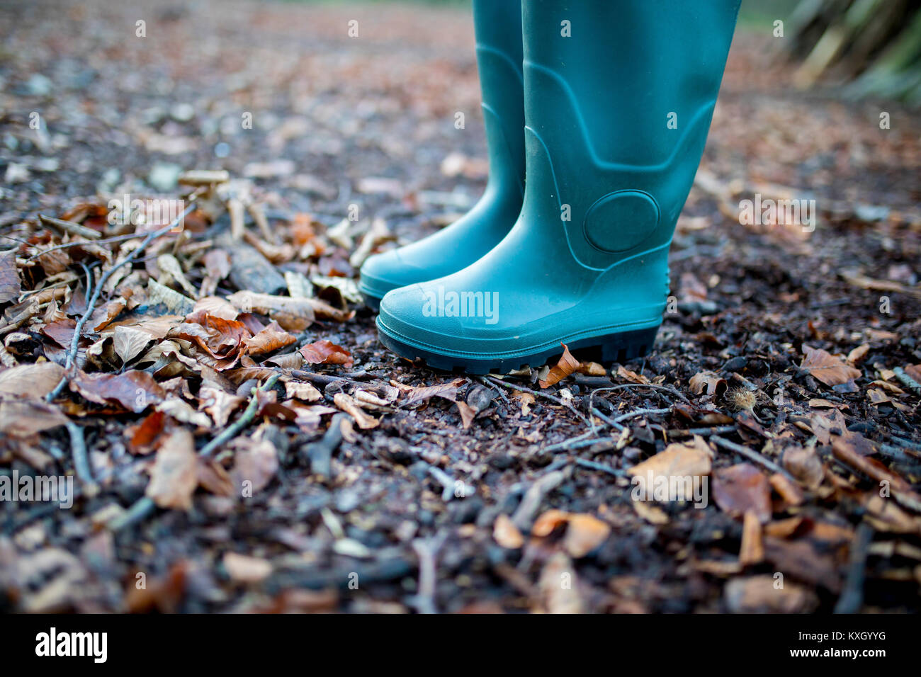Un uomo o una donna che indossa un paio di tradizionali in gomma verde stivali  da pioggia in un bosco in autunno con foglie e rametti sul terreno Foto  stock - Alamy