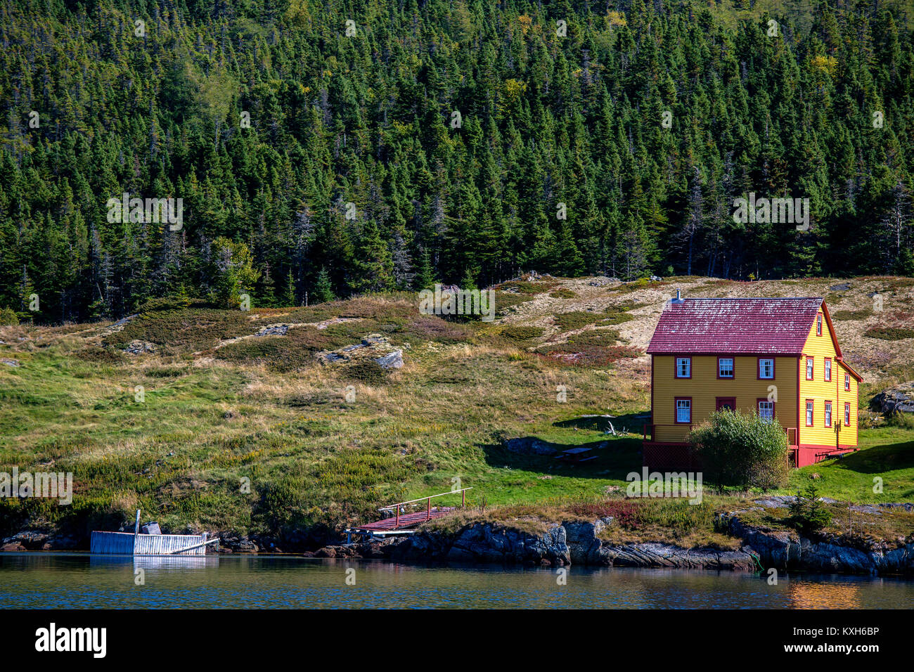 Il paesaggio lungo le rive delle zone rurali di Terranova, Canada. Foto Stock