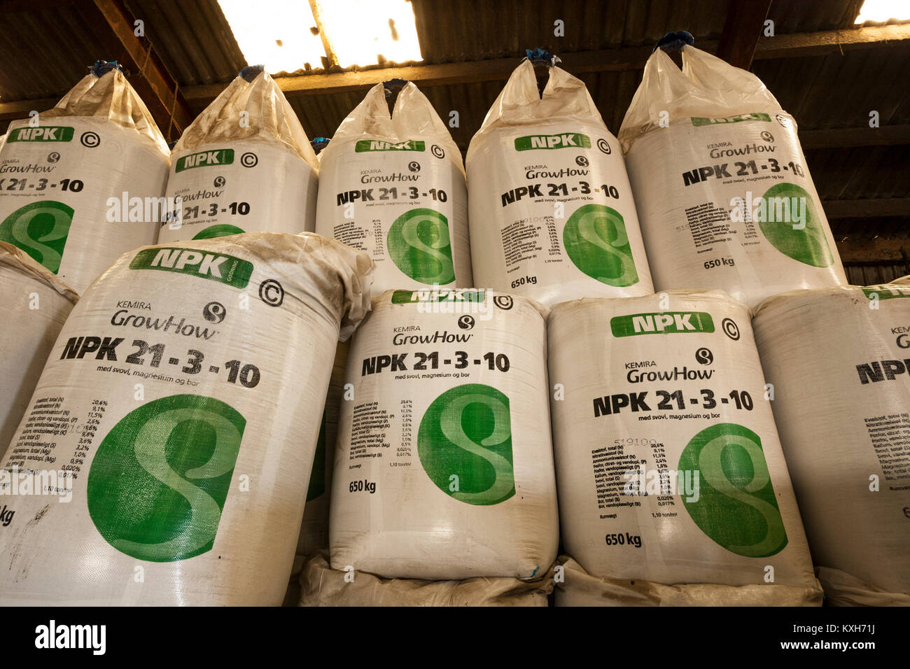 Bigbags con fertilizzante NPK 21-3-10 memorizzati in un edificio Foto Stock