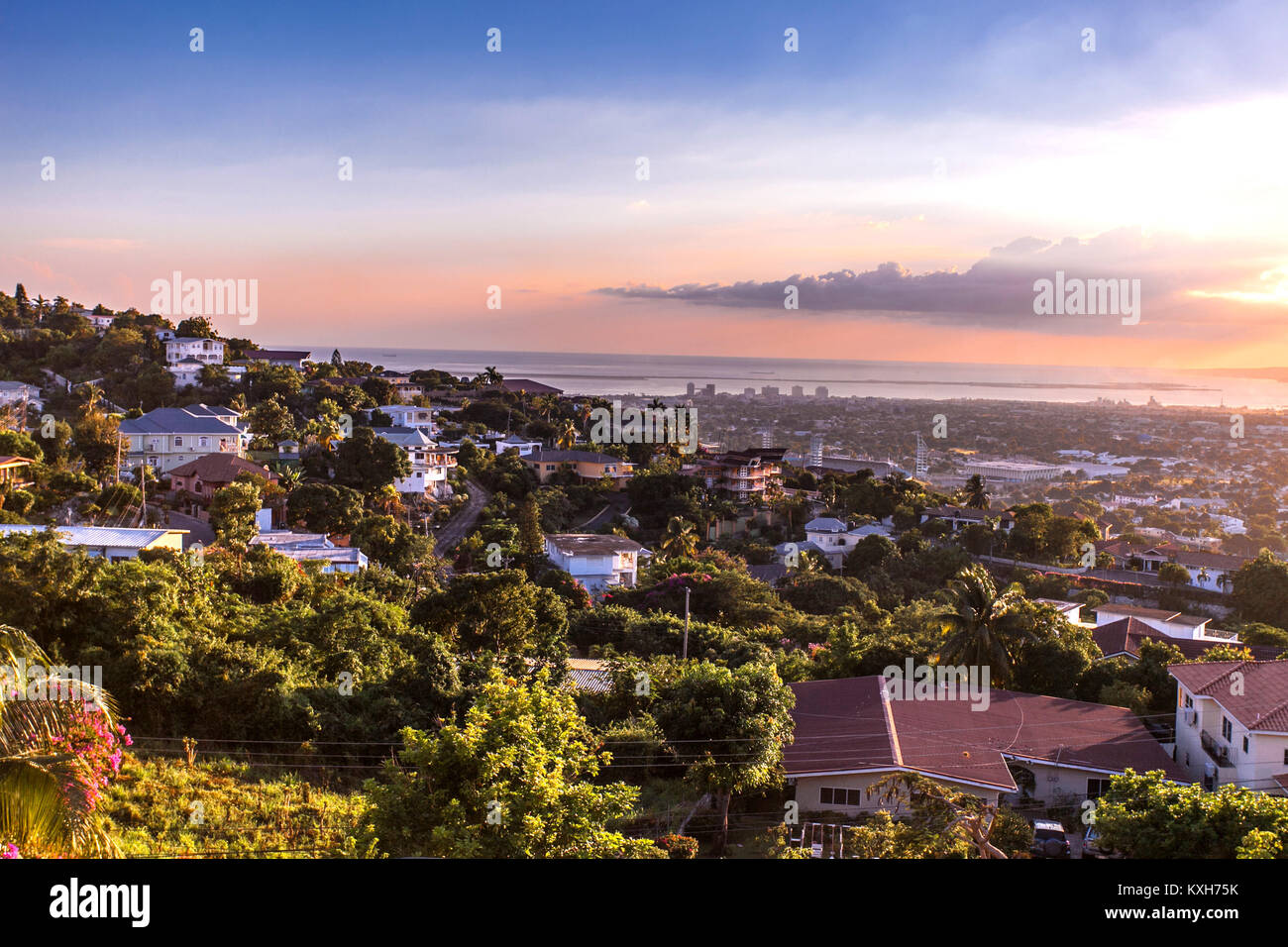 Kingston sulle colline della città in Giamaica il tramonto con fiori Foto Stock
