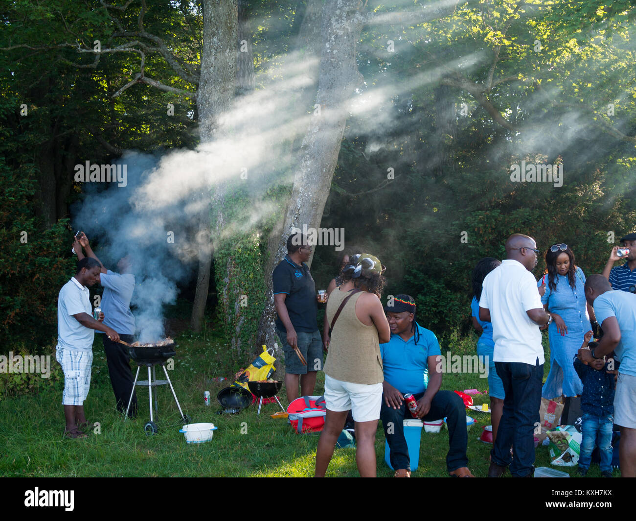 Persone picnic in una soleggiata giornata al parco a Ginevra Foto Stock