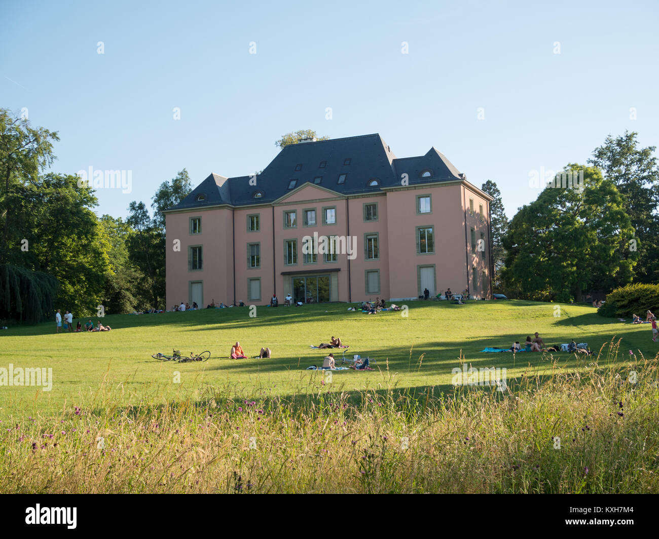 Riposarsi nel prato verde al sole Foto Stock