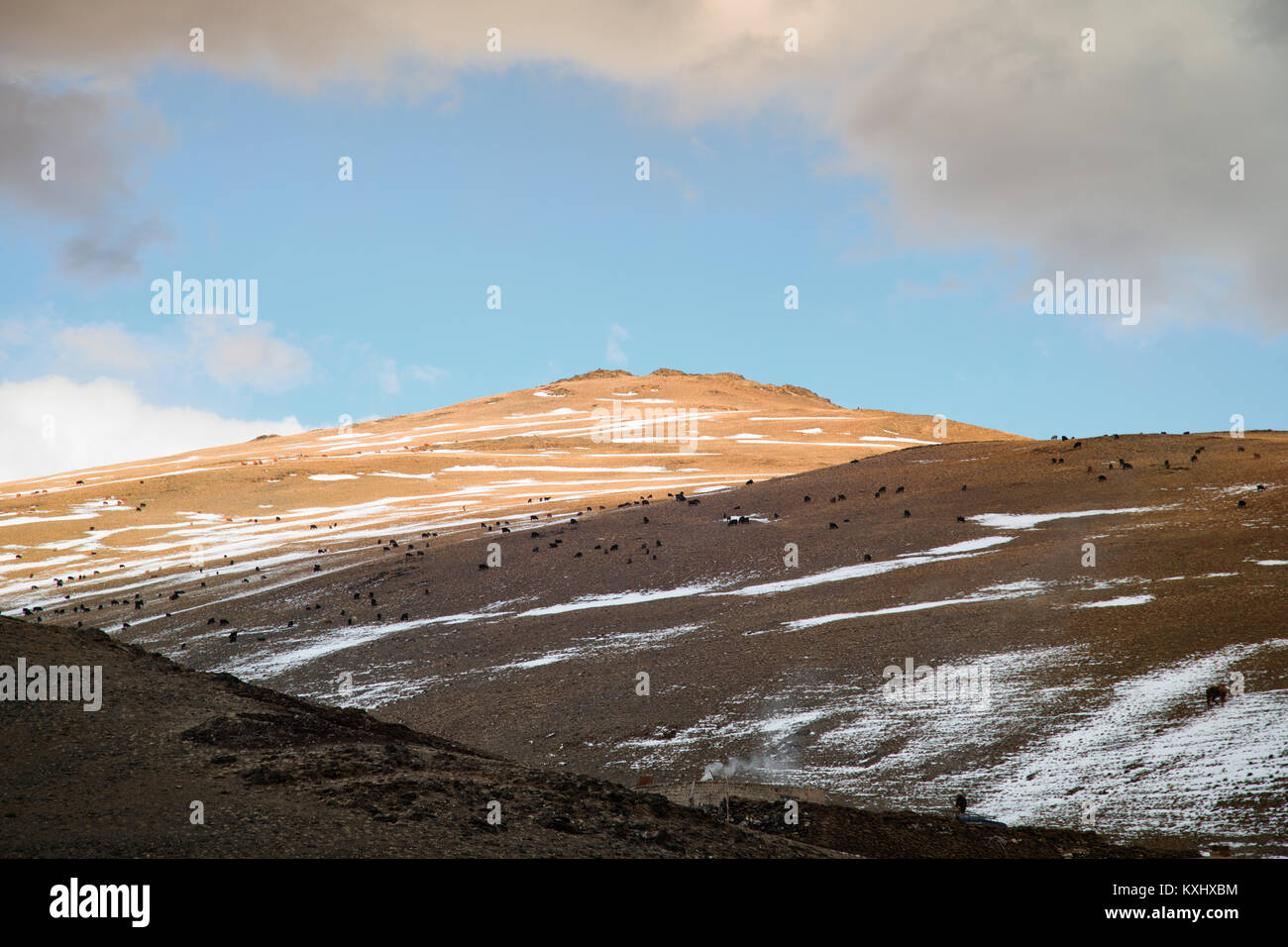 Paesaggio mongolo montagne innevate neve inverno nuvoloso armento di capra in Mongolia Foto Stock