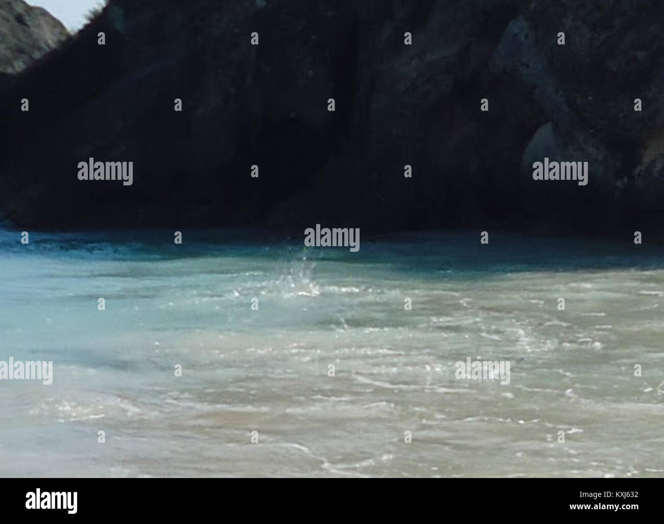 Fotografia subacquea a Horseshoe Bay, Bermuda, che mostra un pesce più grande che preda pesci più piccoli in acque tropicali cristalline, illustrando il comportamento marino naturale nell'Oceano Atlantico. Foto Stock