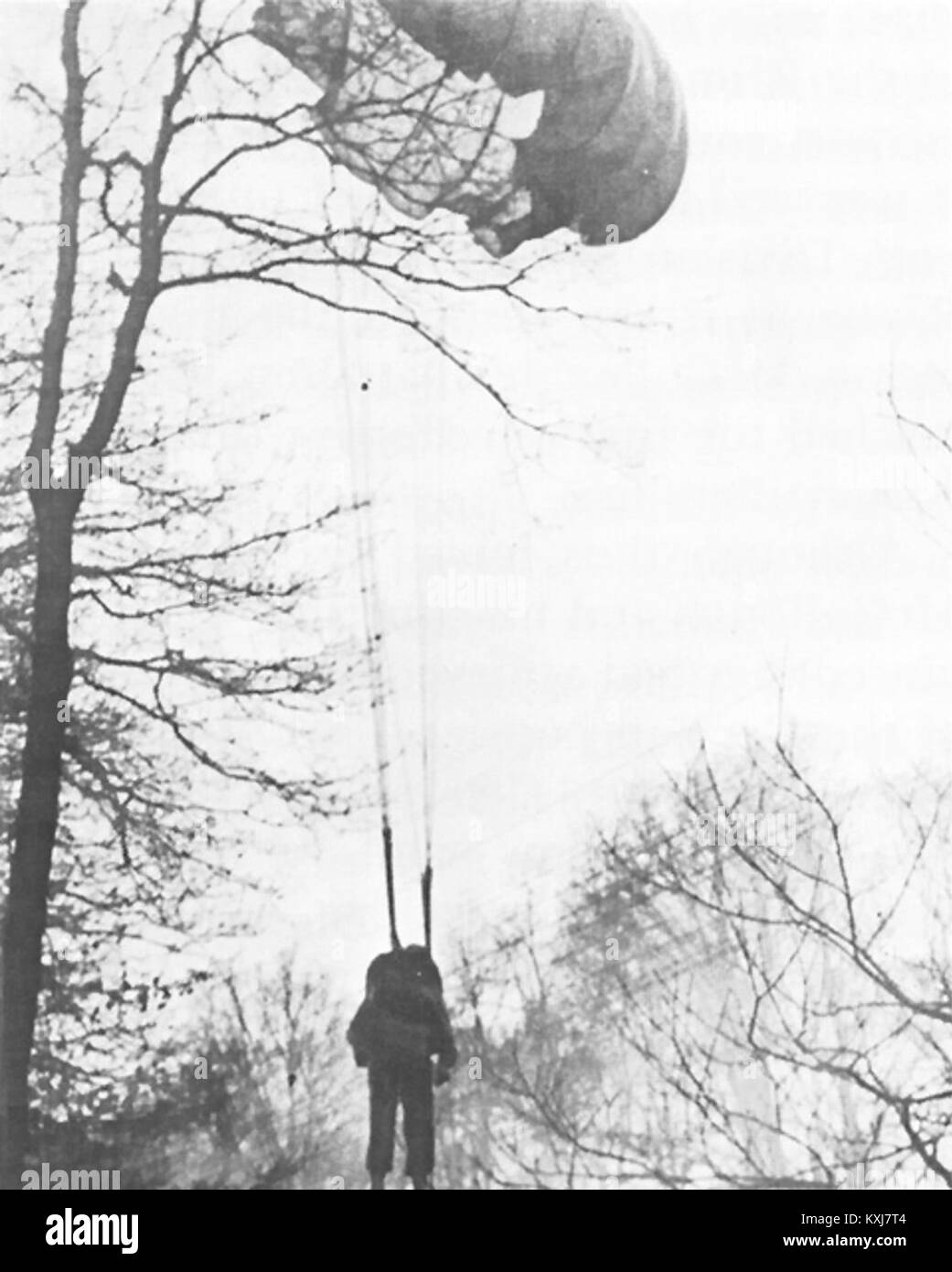 Un paracadutista americano catturato in un albero durante l'operazione Varsity, illustrando le operazioni aviotrasportate, le tattiche militari e le condizioni di combattimento durante la seconda guerra mondiale Foto Stock