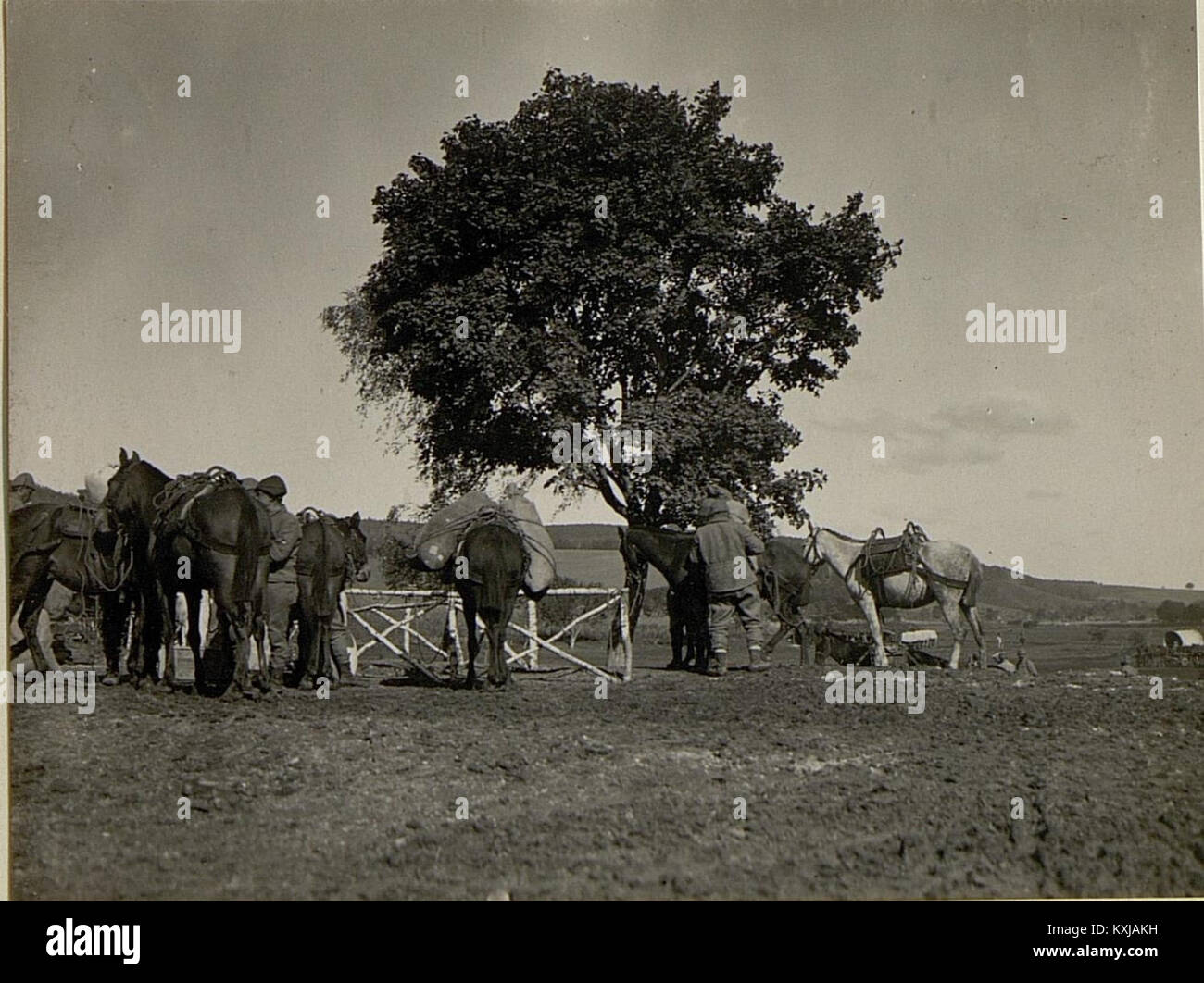 Vedute dal campo turco, raffiguranti tende, soldati e vita del campo durante un periodo storico Foto Stock