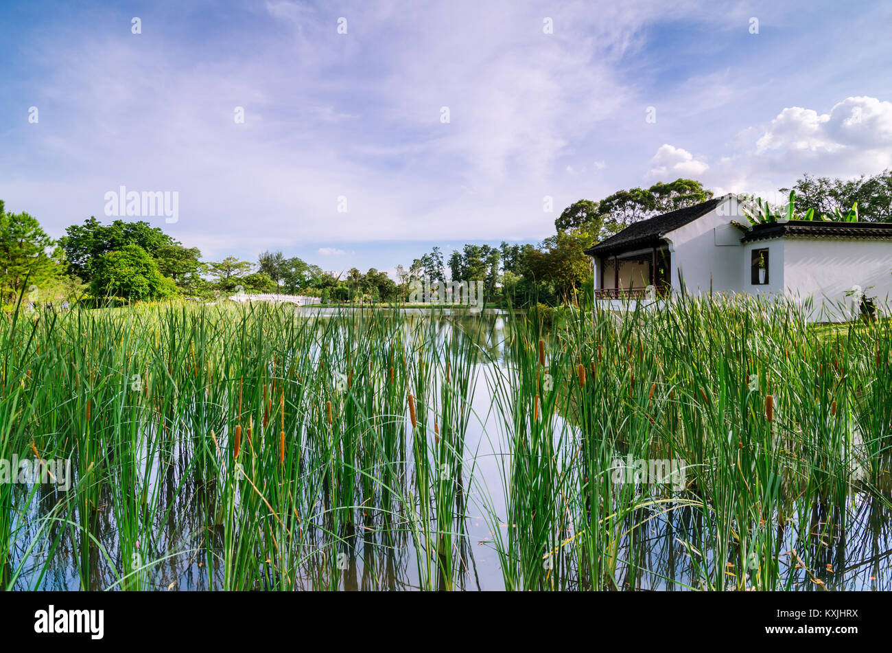Bellissimo il Padiglione Cinese si affacciano sul giardino del lago del Jurong. Foto Stock