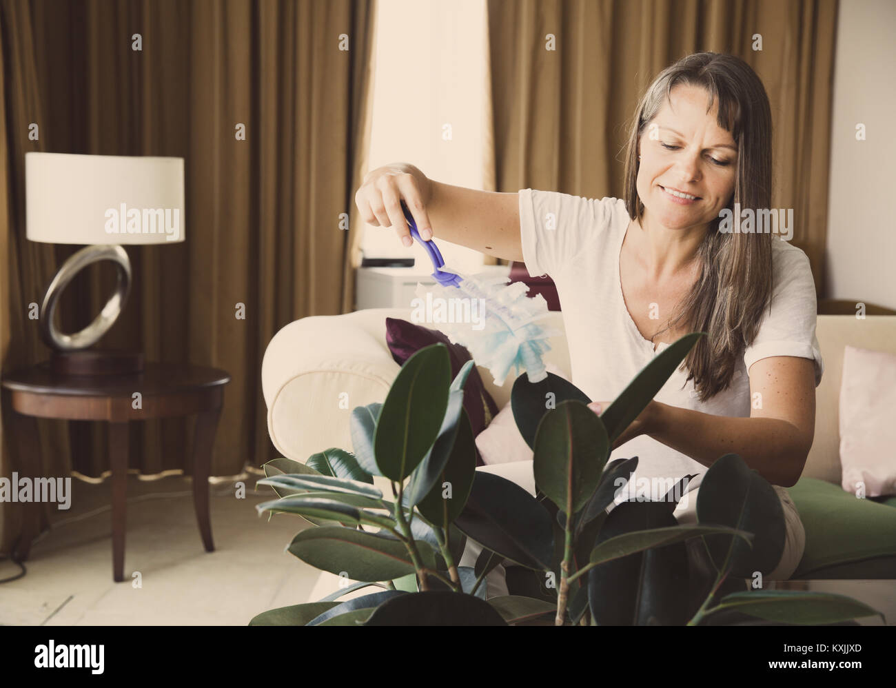 Donna matura è spolvero albero di gomma nel suo appartamento Foto Stock