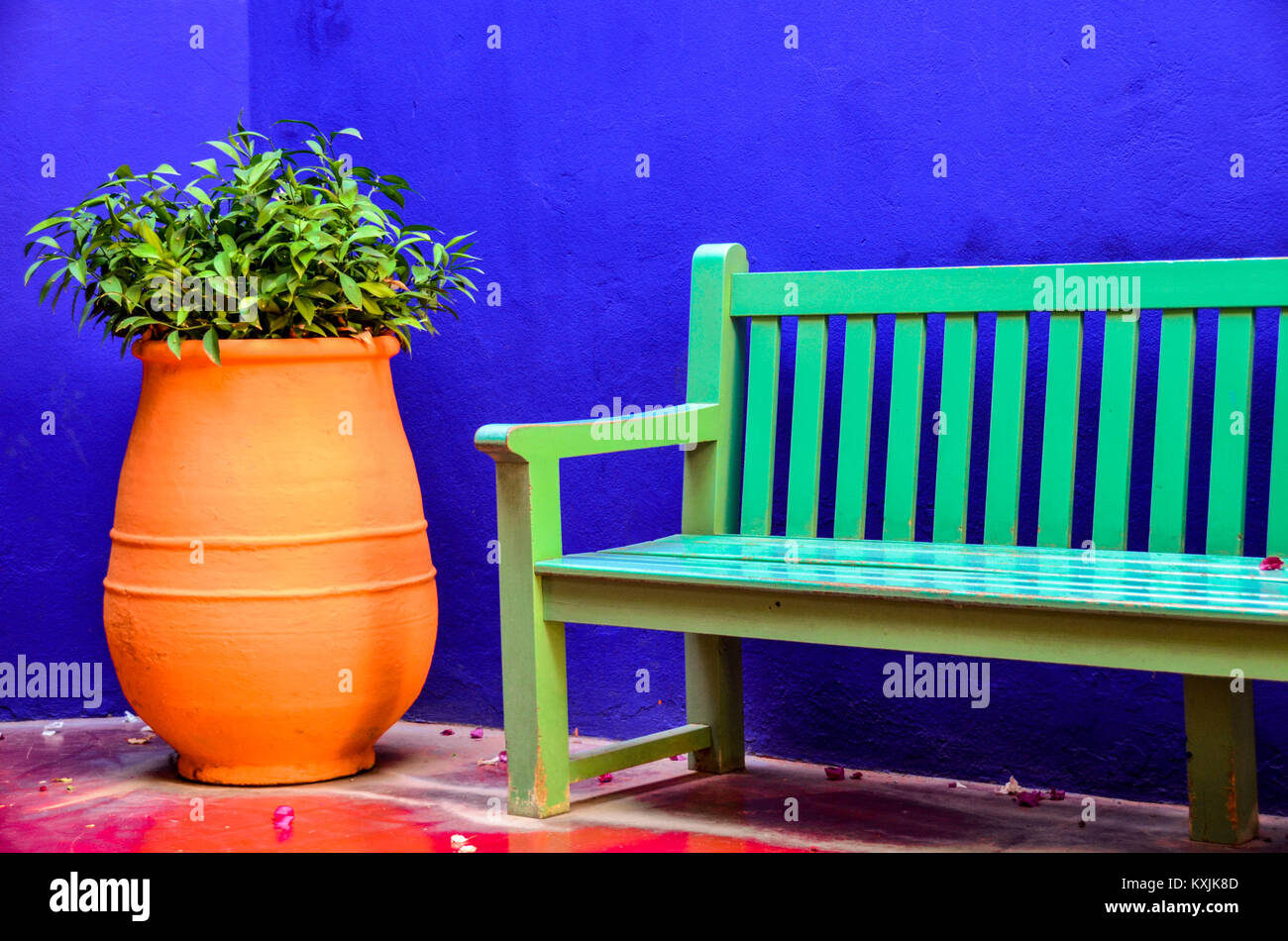 Jardin Majorelle Foto Stock