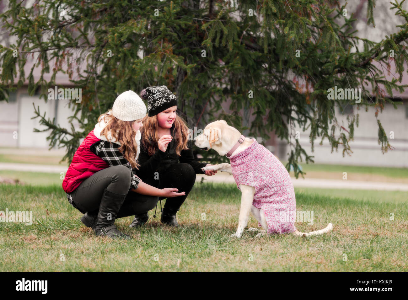 Ragazza e sua sorella accovacciato per tenere dog paw in giardino Foto Stock