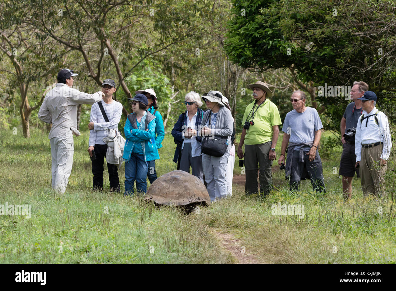 Le Galapagos turisti imparare circa le Galapagos La tartaruga gigante, El Chato Ranch, Isola di Santa Cruz, Isole Galapagos Ecuador America del Sud Foto Stock