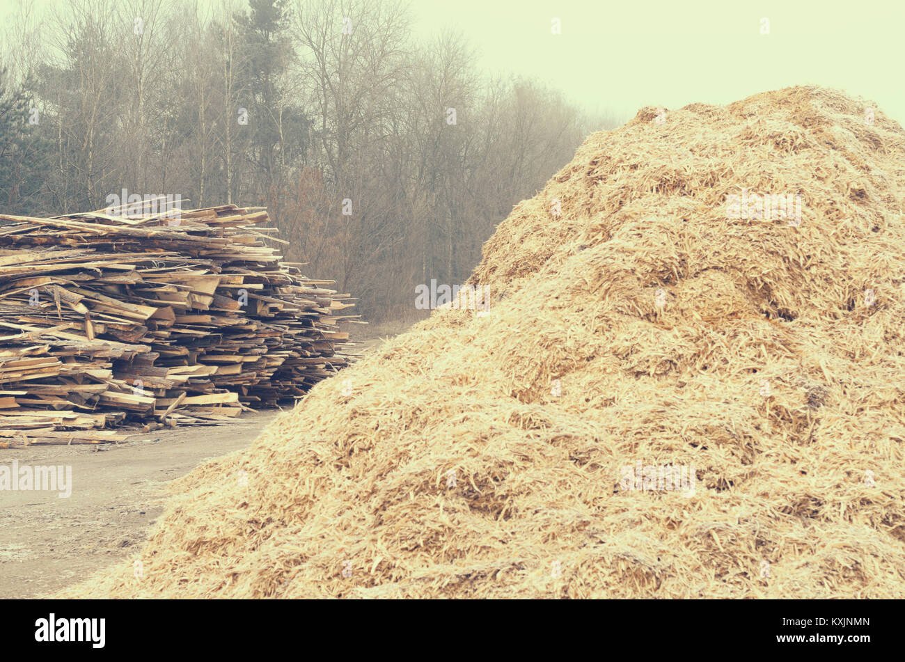 Segheria di rifiuti sotto forma di una pila di schede e una montagna di segatura. Foto Stock