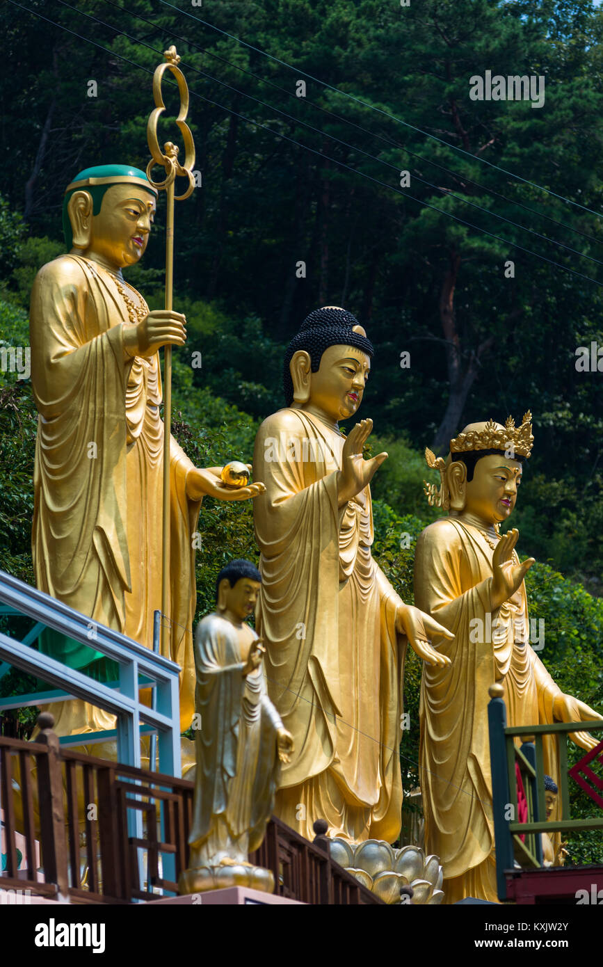 Golden Statue a sud coreano tempio buddista. La città di Busan. Regione Yeongnam, Corea del Sud. Foto Stock