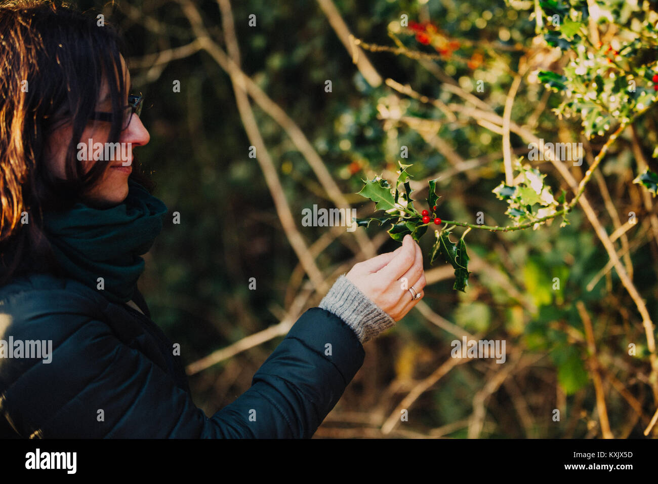Ragazza con una femmina irlandese holly ramo spinoso con foglie e bacche di colore rosso Foto Stock