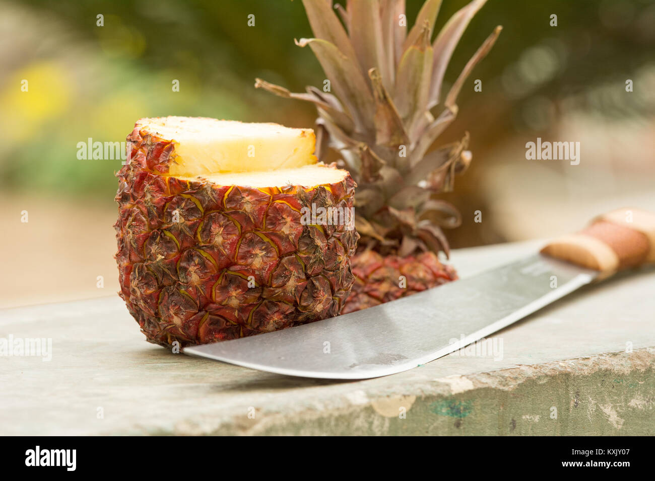 Ananas tagliata aperta a colpi di machete Foto Stock