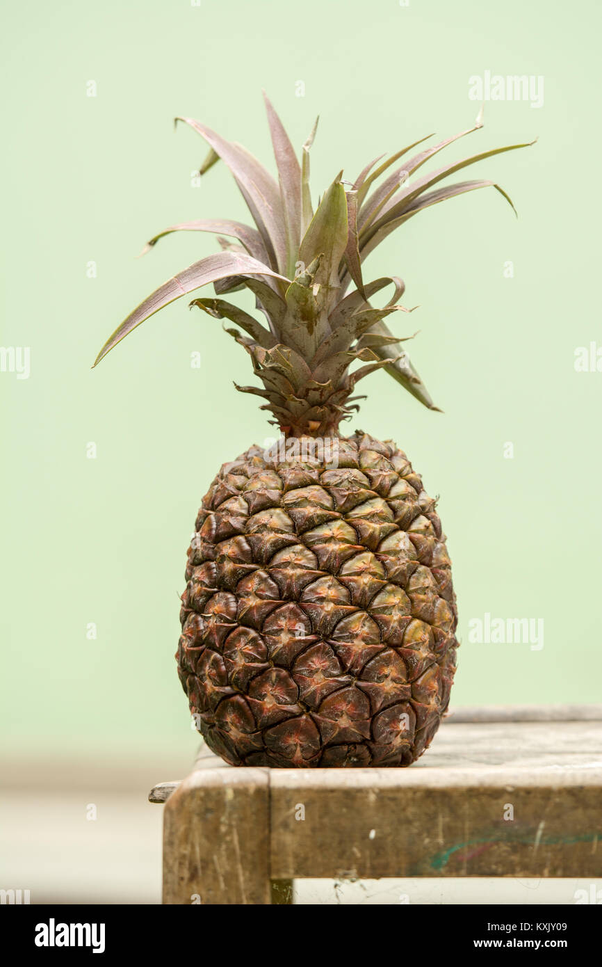 Ananas intero in posizione eretta Foto Stock
