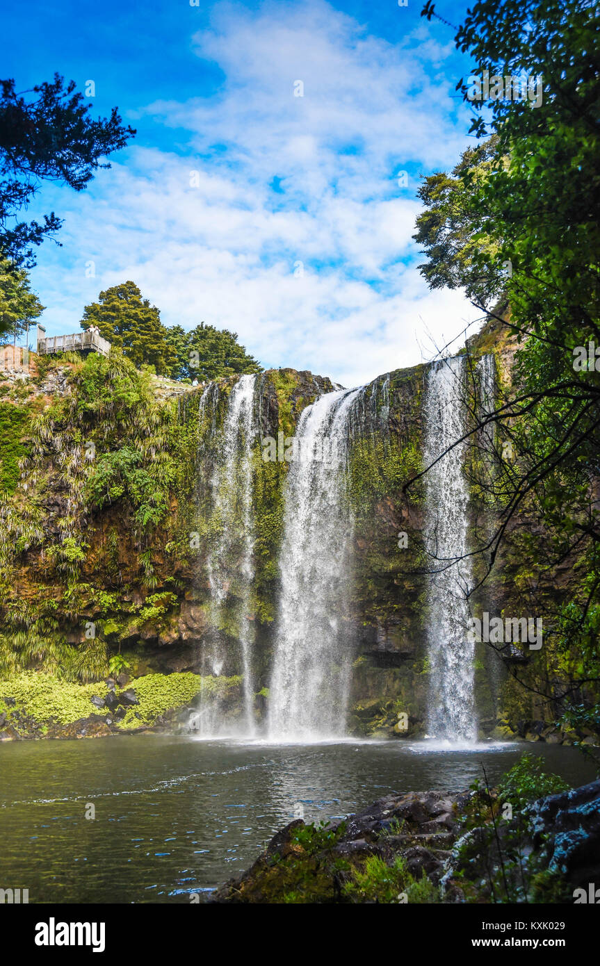 Whangeri falls, Nuova Zelanda Foto Stock