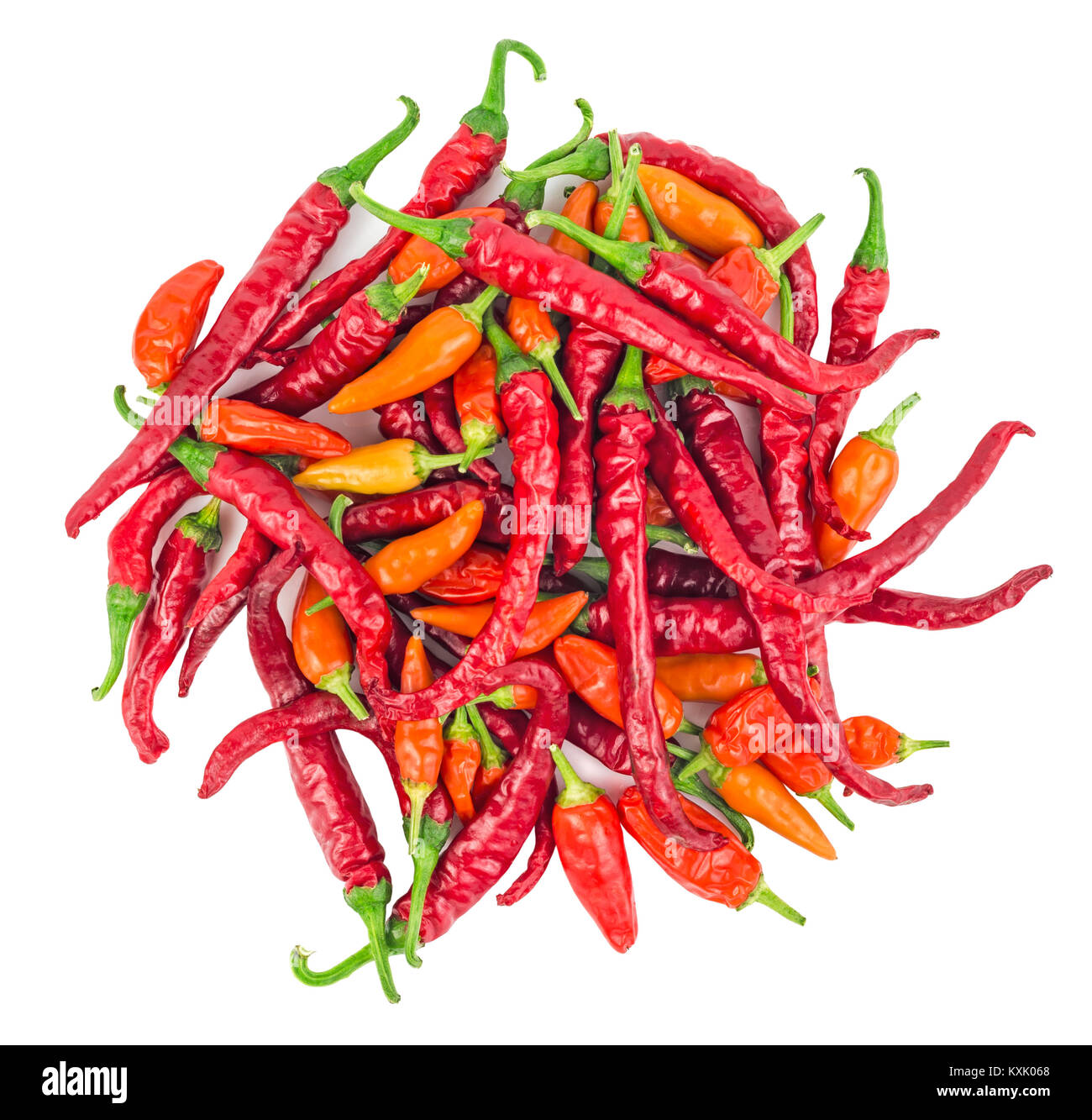 Peperoncino rosso isolato su uno sfondo bianco. Vista dall'alto. Foto Stock