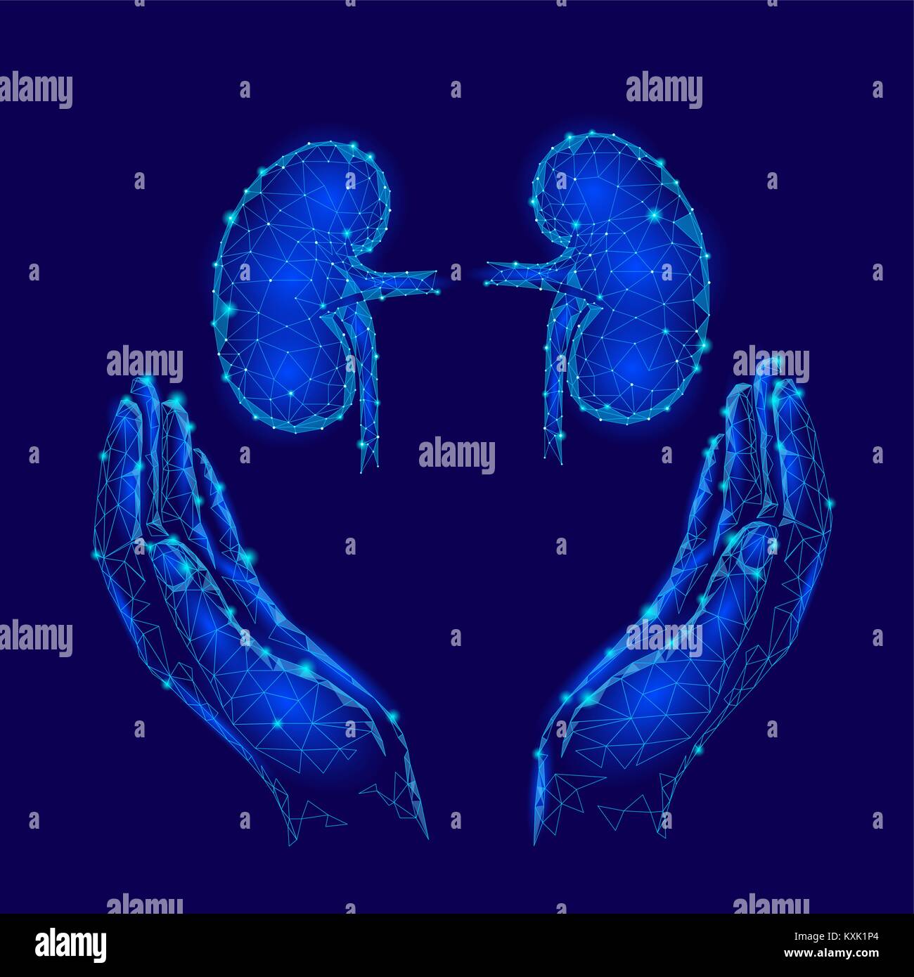 Mondo Rene giorno greeting card bassa poli design modello. La consapevolezza della salute poster promozionali umano organo interno banney punto poligonale reni di linea nella cura delle mani tenendo premuto illustrazione vettoriale Illustrazione Vettoriale