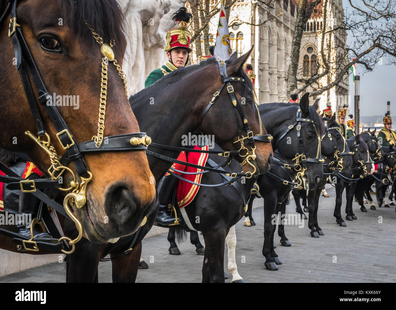 Ussari su cavalli di fronte alla Casa del Parlamento durante il 15 marzo sfilata in Budapest, Ungheria. Ussaro cavalleria in festa tradizionale uniforme. Foto Stock