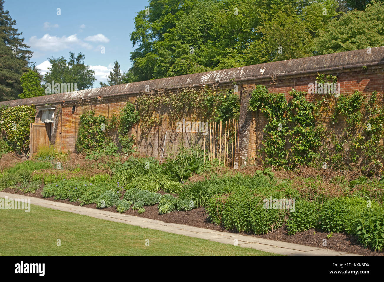 Cliveden House, lungo la parete del giardino, Buckinghamshire, Inghilterra, Foto Stock
