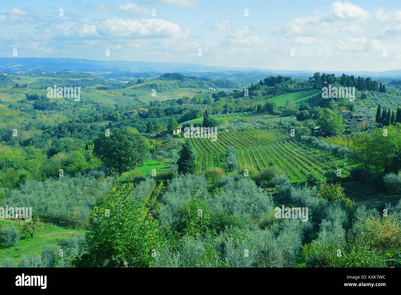 Campagna toscana con oliveti e vigneti. Venite in Toscana ed esplorate. Foto Stock