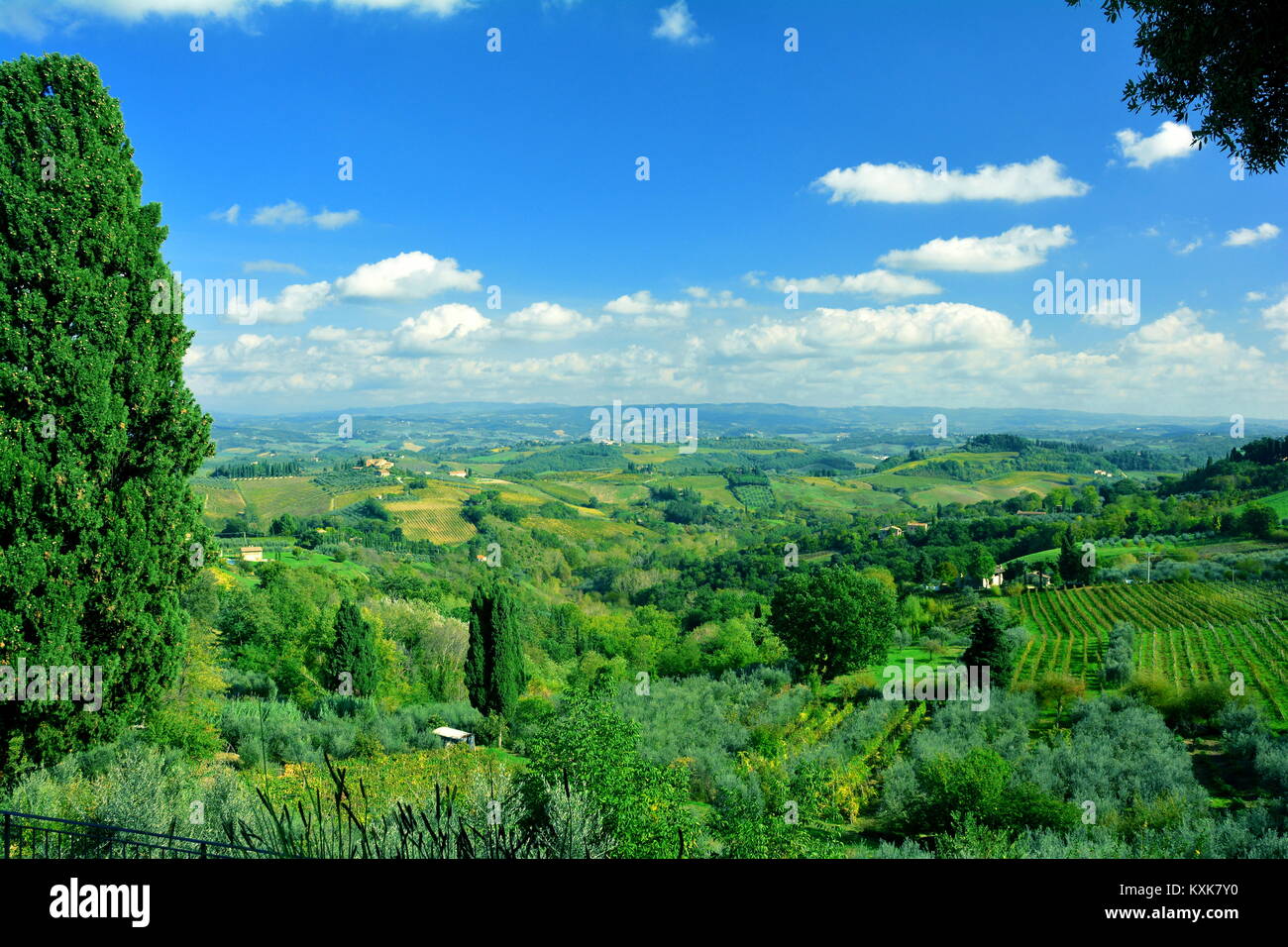 Paesaggio toscano con oliveti e vineyards.Come alla Toscana ed esplorare. Foto Stock