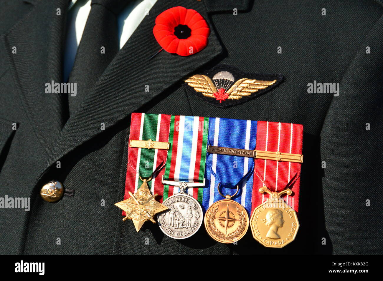 Un veterano di guerra visualizza il suo medaglie sul suo petto sul giorno del ricordo. Foto Stock