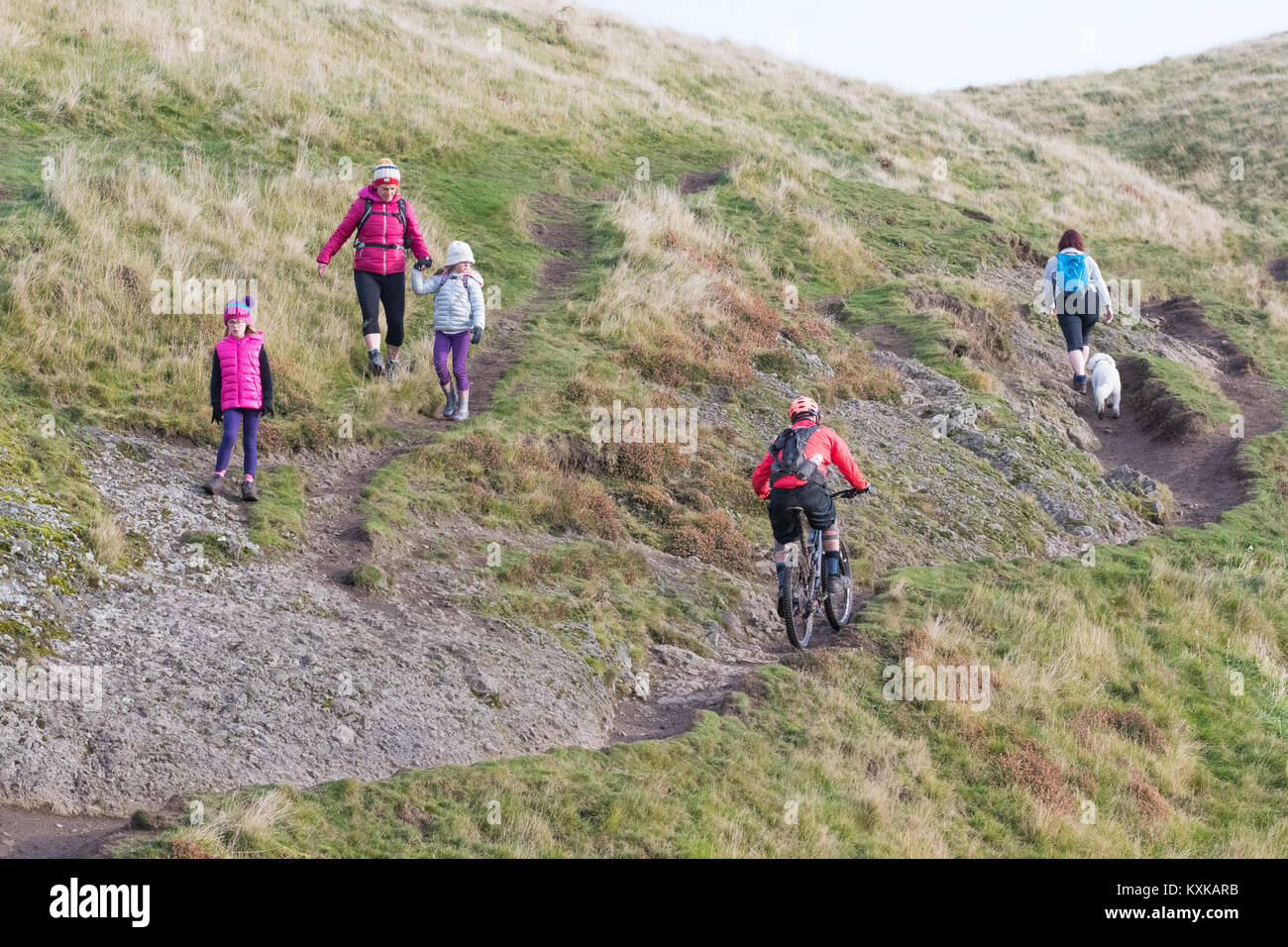 Uso condiviso sentiero con ciclista, scuotipaglia e dog walker - Dumyat, Ochil Hills, Stirling, Scozia, Regno Unito Foto Stock