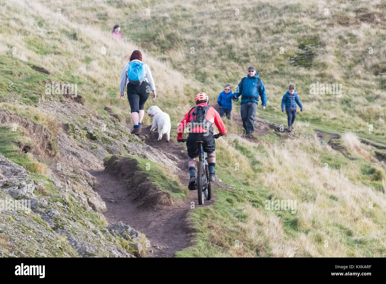 Uso condiviso sentiero con ciclista, scuotipaglia e dog walker - Dumyat, Ochil Hills, Stirling, Scozia, Regno Unito Foto Stock