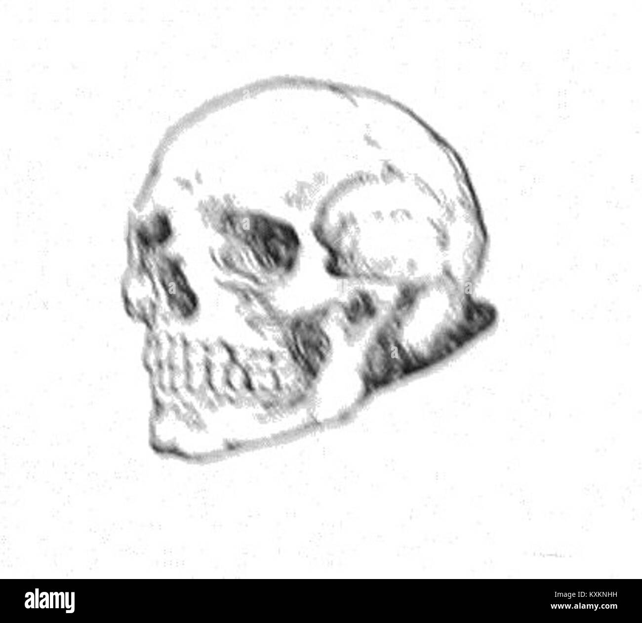 L'edizione del 1909 intitolata A Song of the English è un'opera poetica o musicale pubblicata quell'anno, presumibilmente riflettendo temi culturali o nazionali dell'Inghilterra dell'inizio del XX secolo. Foto Stock