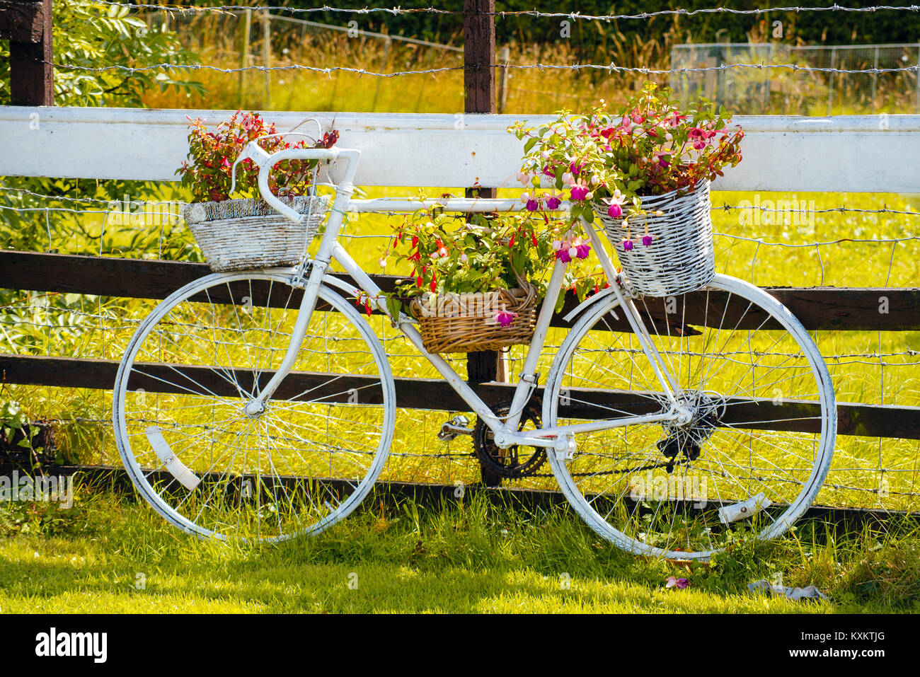 Bicicletta bianchi decorati con fiori. Spesso noto come ghost bikes sono  spesso lasciati come memoriali di ciclisti morti sulle strade Foto stock -  Alamy