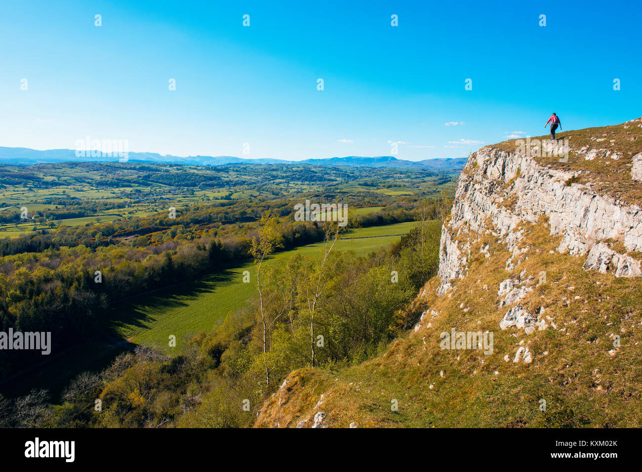 Walker sulla cicatrice Scout con vista sulla valle di Lyth distante Lakeland fells nel Parco nazionale del Lake District Cumbria Foto Stock