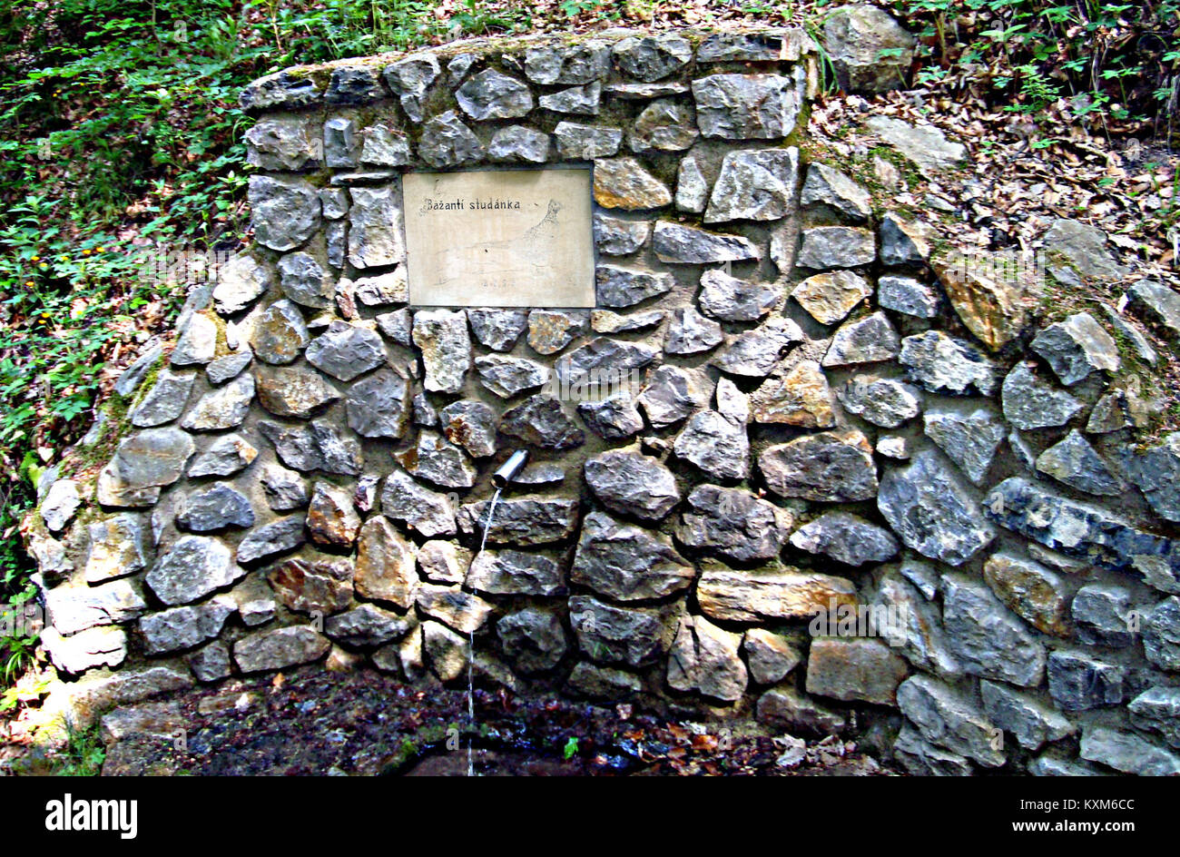 Bažantí Studánka è un'area naturale primaverile, spesso associata al patrimonio locale e alla conservazione del paesaggio, che rappresenta un sito di importanza naturale e culturale. Foto Stock