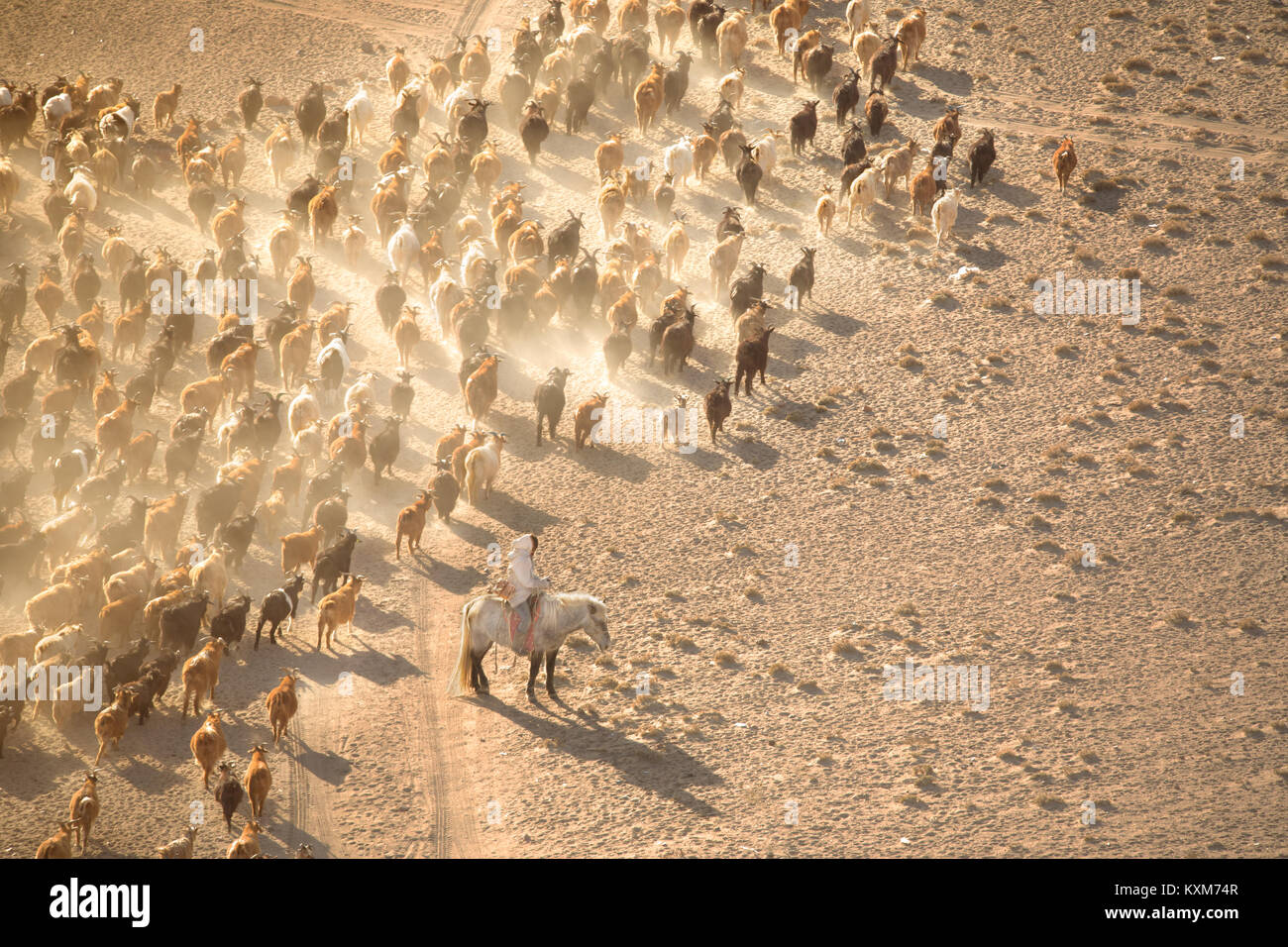 Khovd Hovd town city tramonto custode di capra herder pastore cavallo Cavaliere a cavallo polvere polveroso Foto Stock