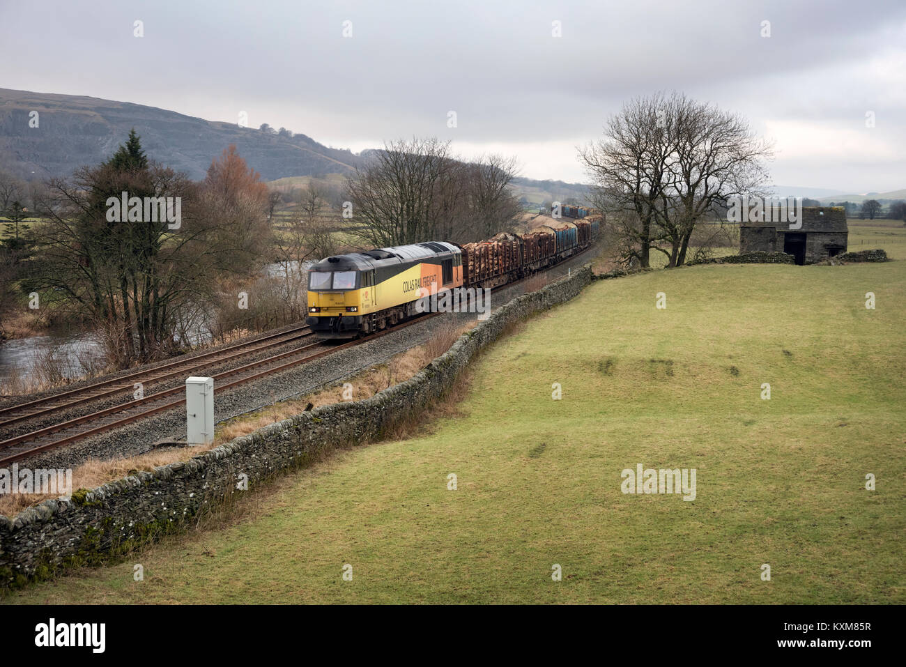 Cole del trasporto ferroviario di merci Trasporto treno logs da Carlisle a impianto di trasformazione a Chirk in Galles. Visto a ponte Helwith vicino a Settle, North Yorkshire Foto Stock