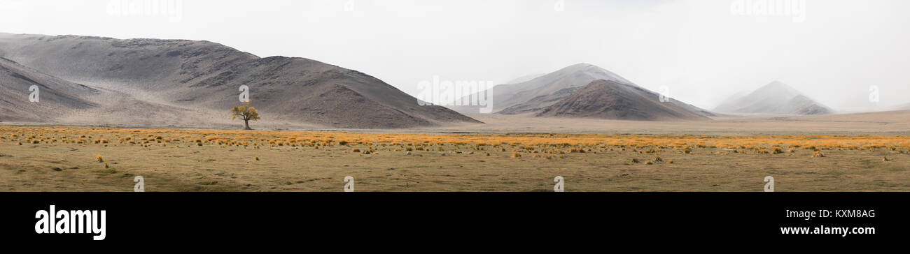Paesaggio mongolo lonely tree montagne innevate neve inverno nuvoloso Mongolia panorama Foto Stock