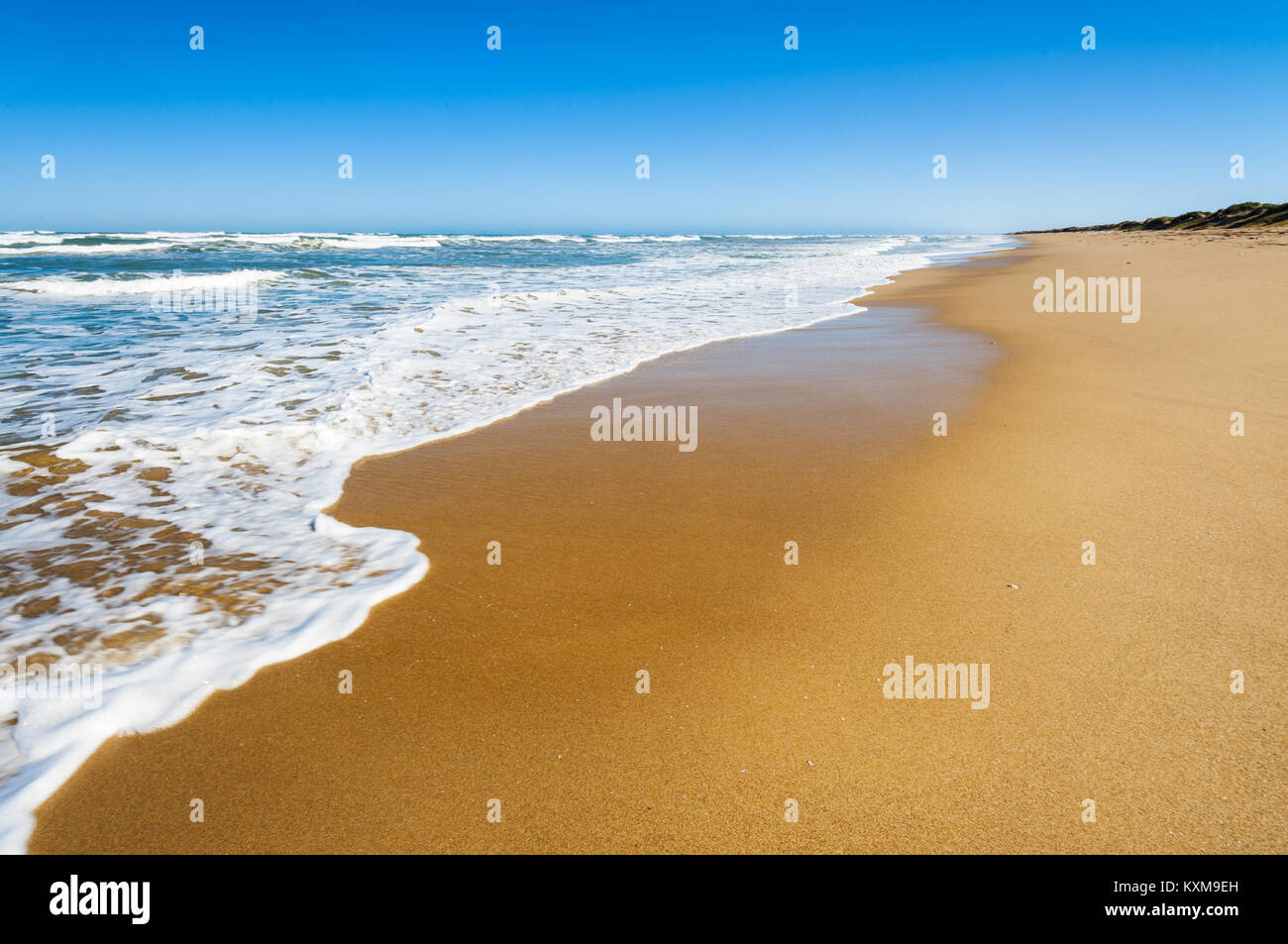 Grande spiaggia a sud nel Parco Nazionale di Coorong. Foto Stock